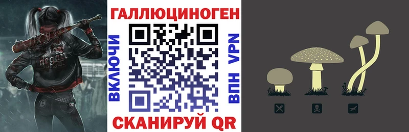 Псилоцибиновые грибы MAGIC MUSHROOMS Теберда